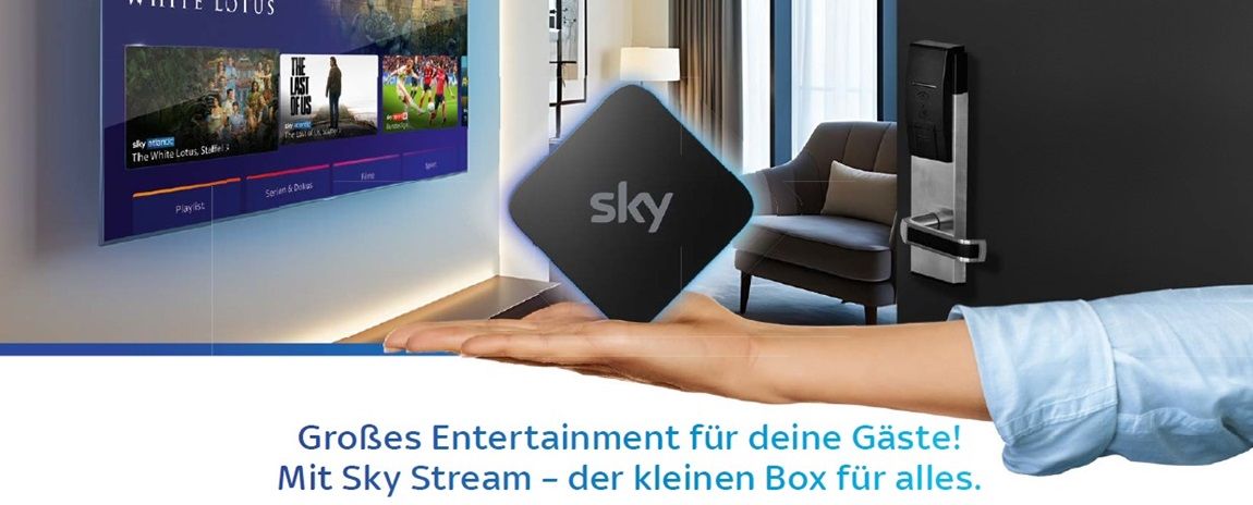 Cover image - Sky Business