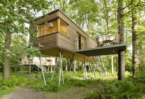 Natur als Philosophie: Resort Baumgefl&uuml;ster zum World Environment Day
