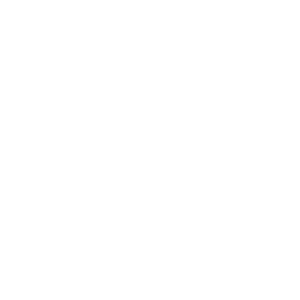 Black Hoteliers & Investors Association