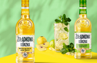 Zoladkowa Gorzka Refresh Line - Liqueurs