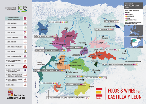 Castilla Y Leon Regional Map