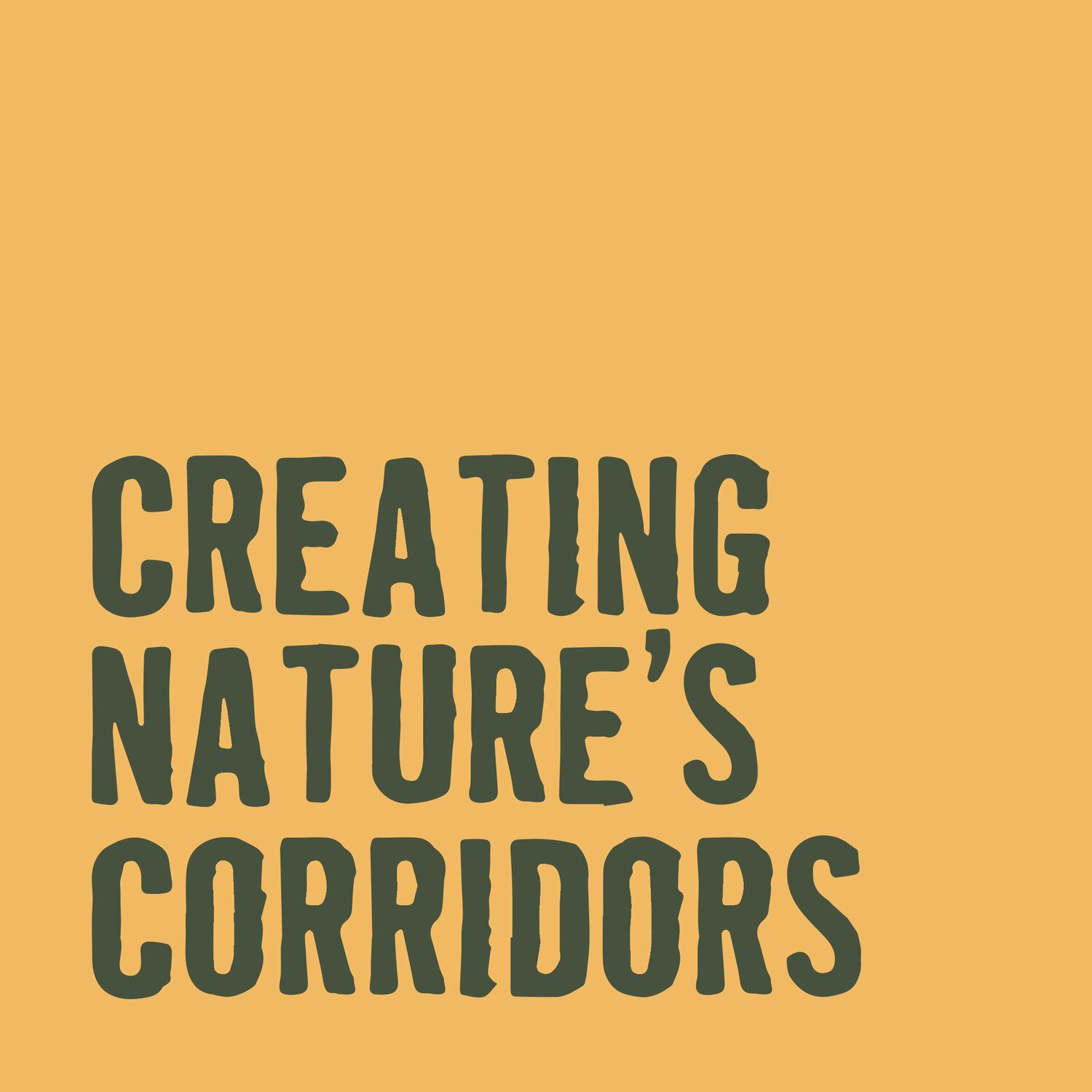 Creating Natures Corridors 