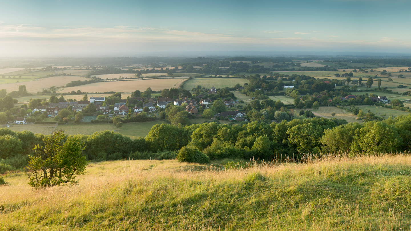 Welcome to our Regional Producer Guide - new for 2025!