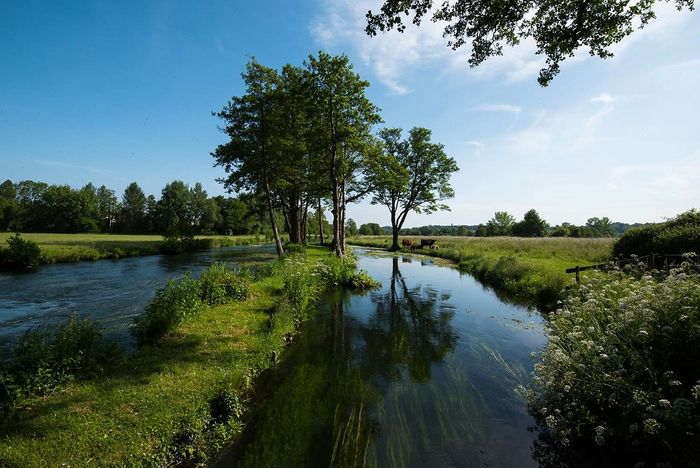 Press release - ChalkStream Foods