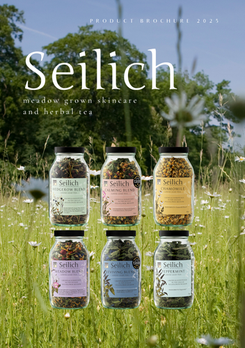 Seilich Brochure
