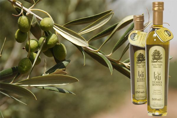 Jordanian EVOO 250ml & 500ml (1st cold-pressed and filtered)