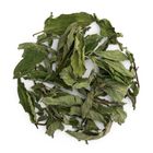 Peppermint Tea