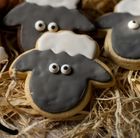 Risky Biscuits
