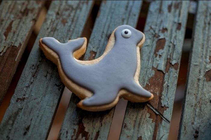 Risky Biscuits