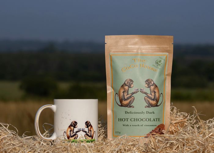 Deliciously Dark Hot Chocolate -