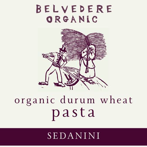 Organic Durum Wheat Pasta: Sedanini
