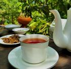 Black Tea- Cup of Strength
