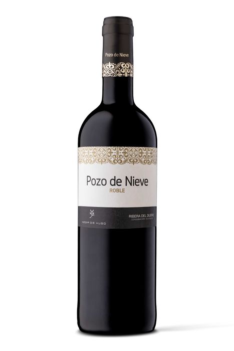 POZO DE NIEVE