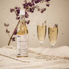 Lavender cordial syrup 500 ml Organic