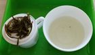 Green Tea- Pure Serenity