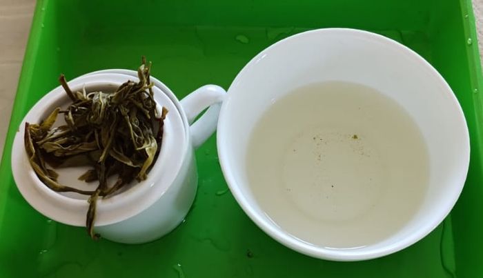 Green Tea- Pure Serenity