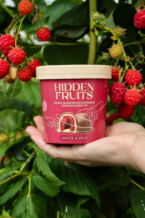 Freshly frozen British raspberries in white & milk Belgian chocolate