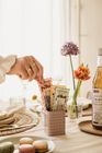 Lemongrass-Ginger cordial syrup in a 32 ml recyclable sachet Organic