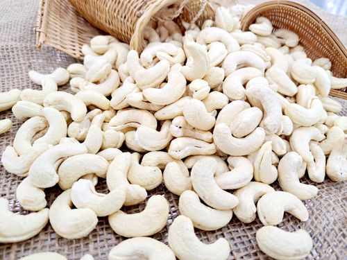 Cambodian M23 Cashew Kernel