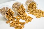 Walnuts in kernels