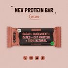 Sprouted buckwheat PROTEIN bars