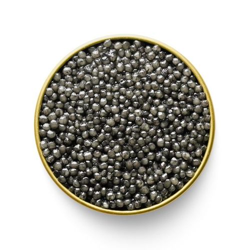 Beluga Caviar