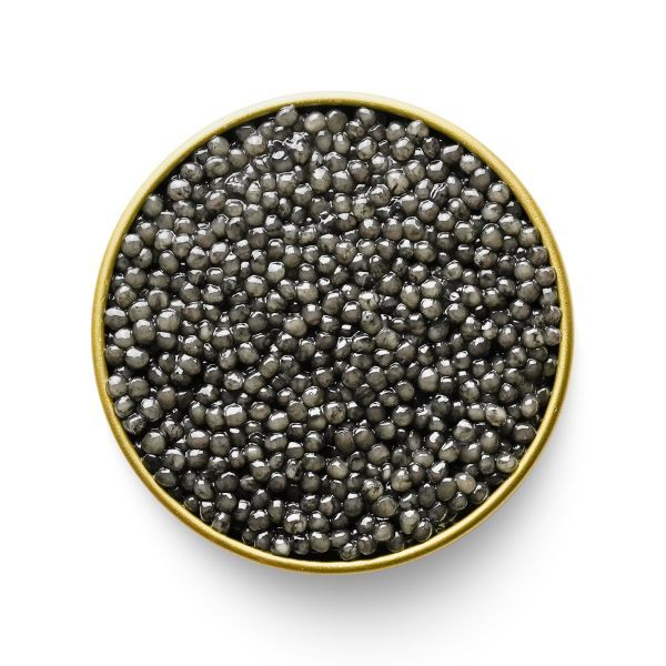 Beluga Caviar