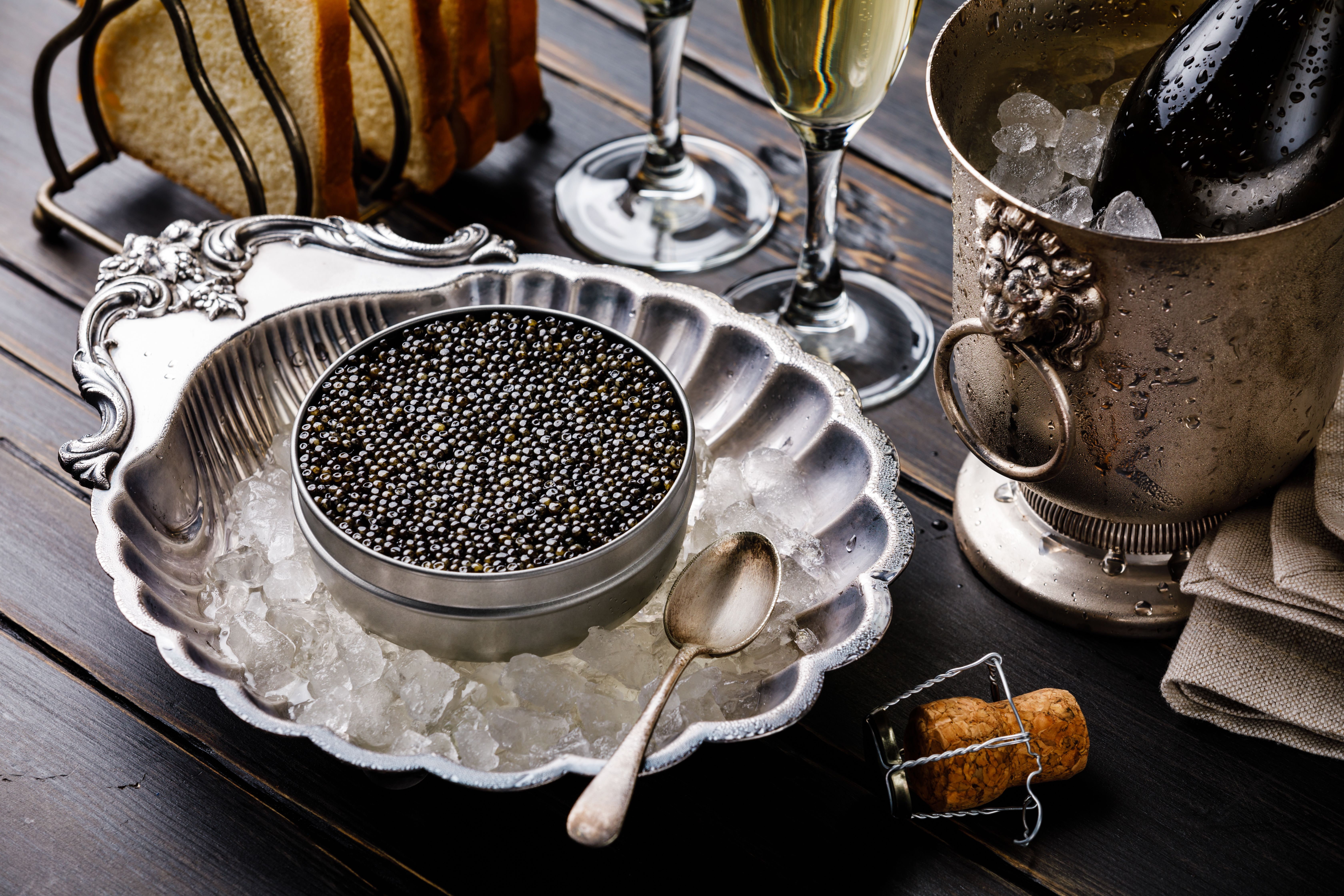 Beluga Caviar