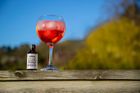 Malvern Inky Pink (Chilli) Bitters