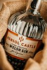 Hensol Castle Welsh Dry Gin - 41% ABV