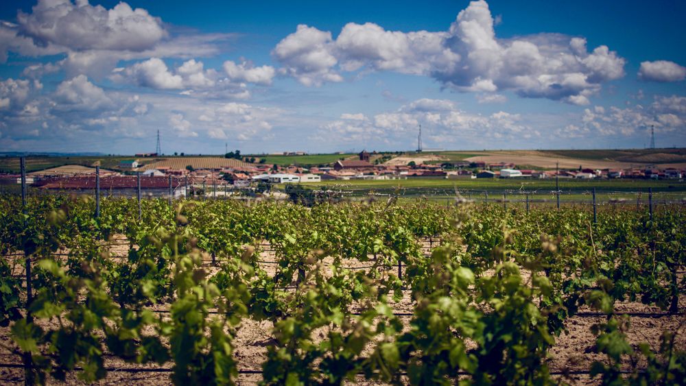 TRES PILARES VERDEJO SOBRE LIAS DO RUEDA