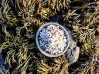 Seaweed Flakes & Sea Salt Crystals (120g)