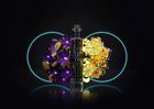 Polarity BlackLight Gin