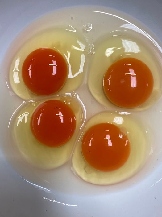 Rymer Farm Richer Golden Yolk Free Range 6 Egg Pre-Pack