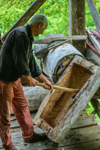 Georgia: the Land of the Oldest Honey