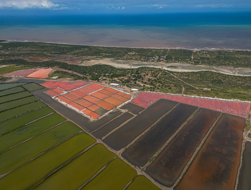 Life on a Salt Farm