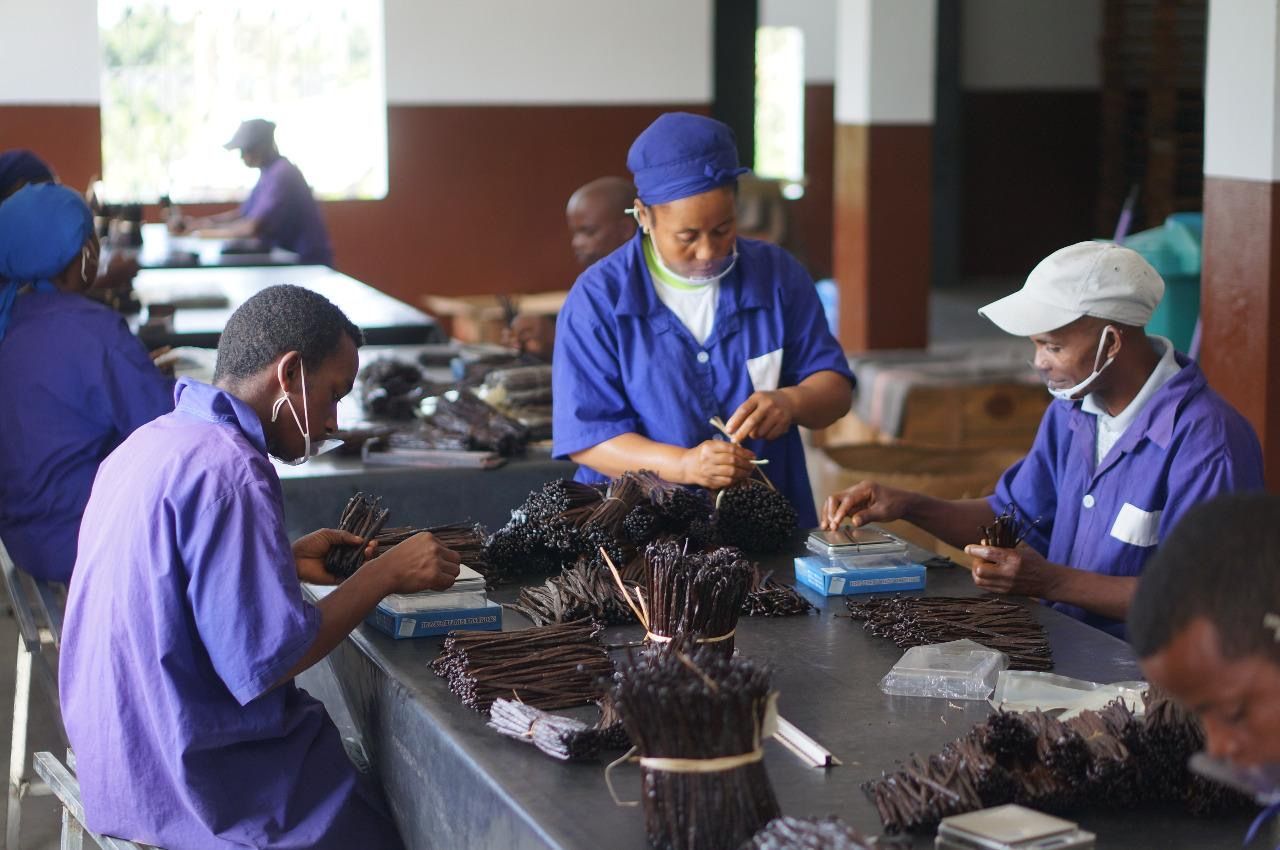 Sustainable Sourcing: Our Committment to Quality Vanilla !