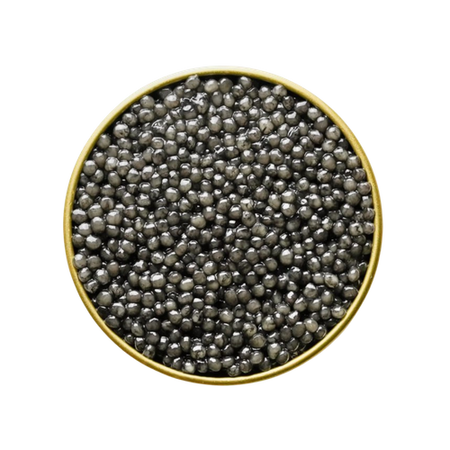 Beluga Caviar · The Icon of Luxury