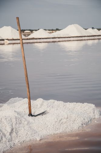 Life on a Salt Farm with Asilia Salt