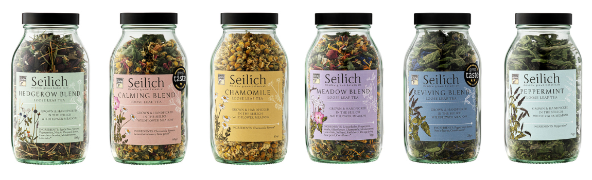 Seilich