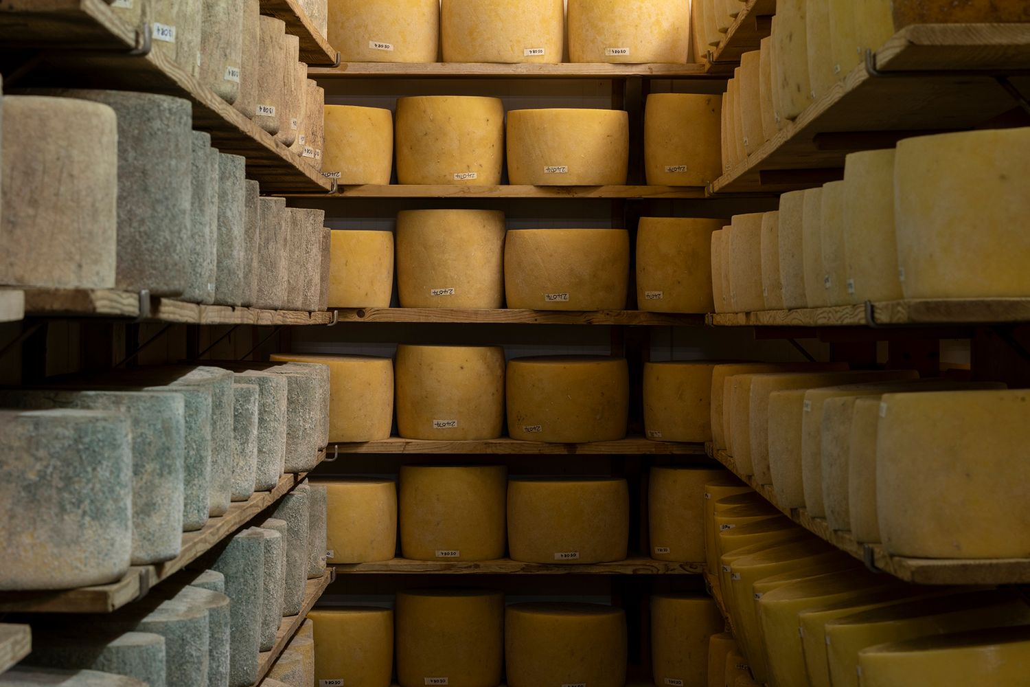 Fine Cheesemakers of Scotland