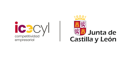 INSTITUTO PARA LA COMPETITIVIDAD EMPRESARIAL DE CASTILLA Y LEÓN