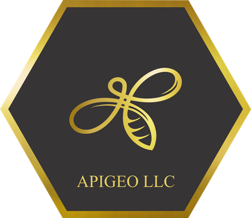 Apigeo LLC