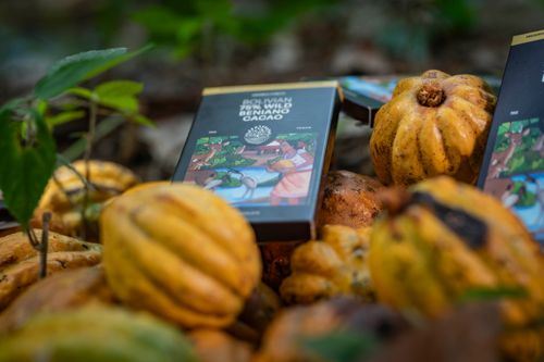New sustainable brand Kindred Forest to debut rare wild chocolate and other rainforest products at Speciality & Fine Food Fair 2025
