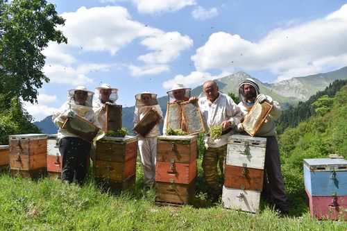 A Day in the Life of... Aphrodite Premium Greek Honey