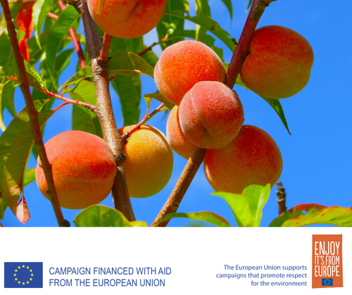 EU Fresh Fruit campaign to showcase quality European fresh fruits at Speciality & Fine Food Fair 2023