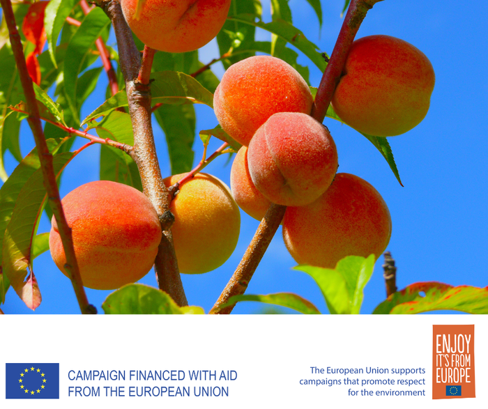 EU Fresh Fruit campaign to showcase quality European fresh fruits at Speciality & Fine Food Fair 2023