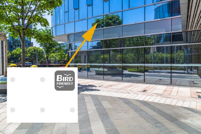 Bird protection glass with the Laserbird machine