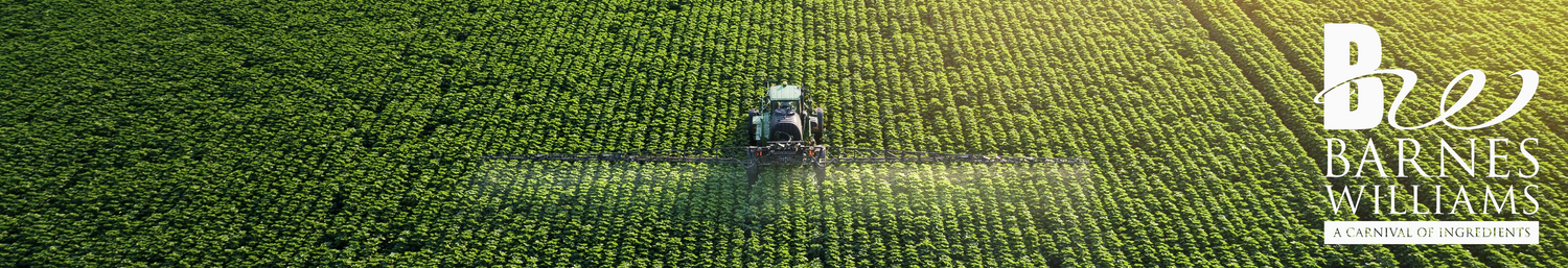 Barnes Williams / The Chilli Doctor