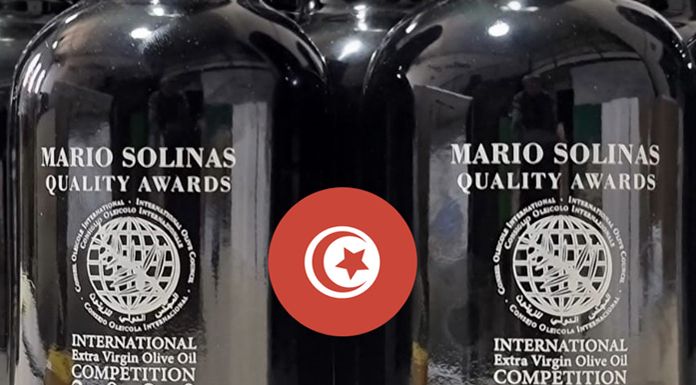 Tunisian Olive Oil - Packtec